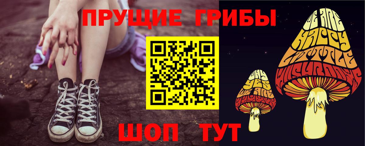 Псилоцибиновые грибы Psilocybe  Вход с VPN  Уссурийск 