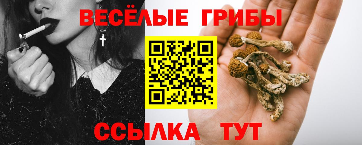 Галлюциногенные грибы Magic Shrooms Уссурийск